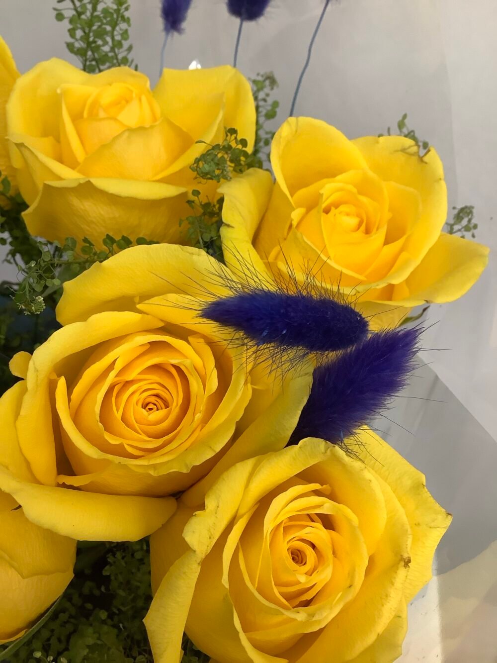 7 Yellow Roses with 11 Blue Accents - Image 2