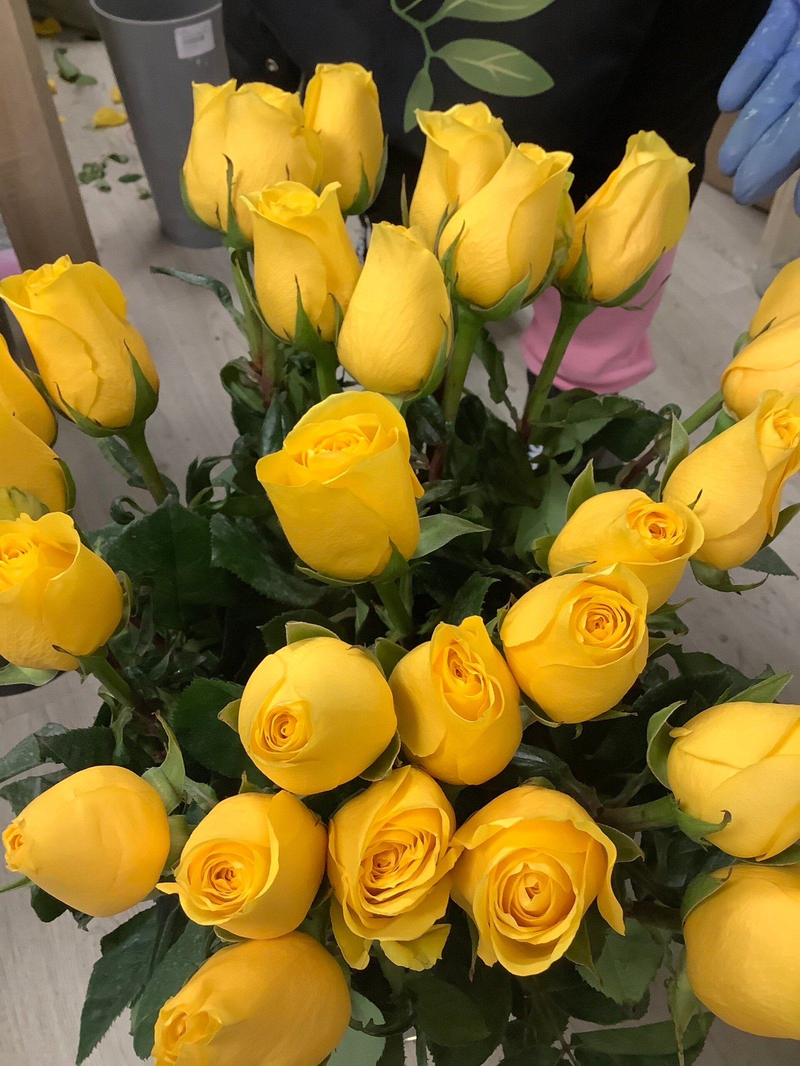 Roses yellow