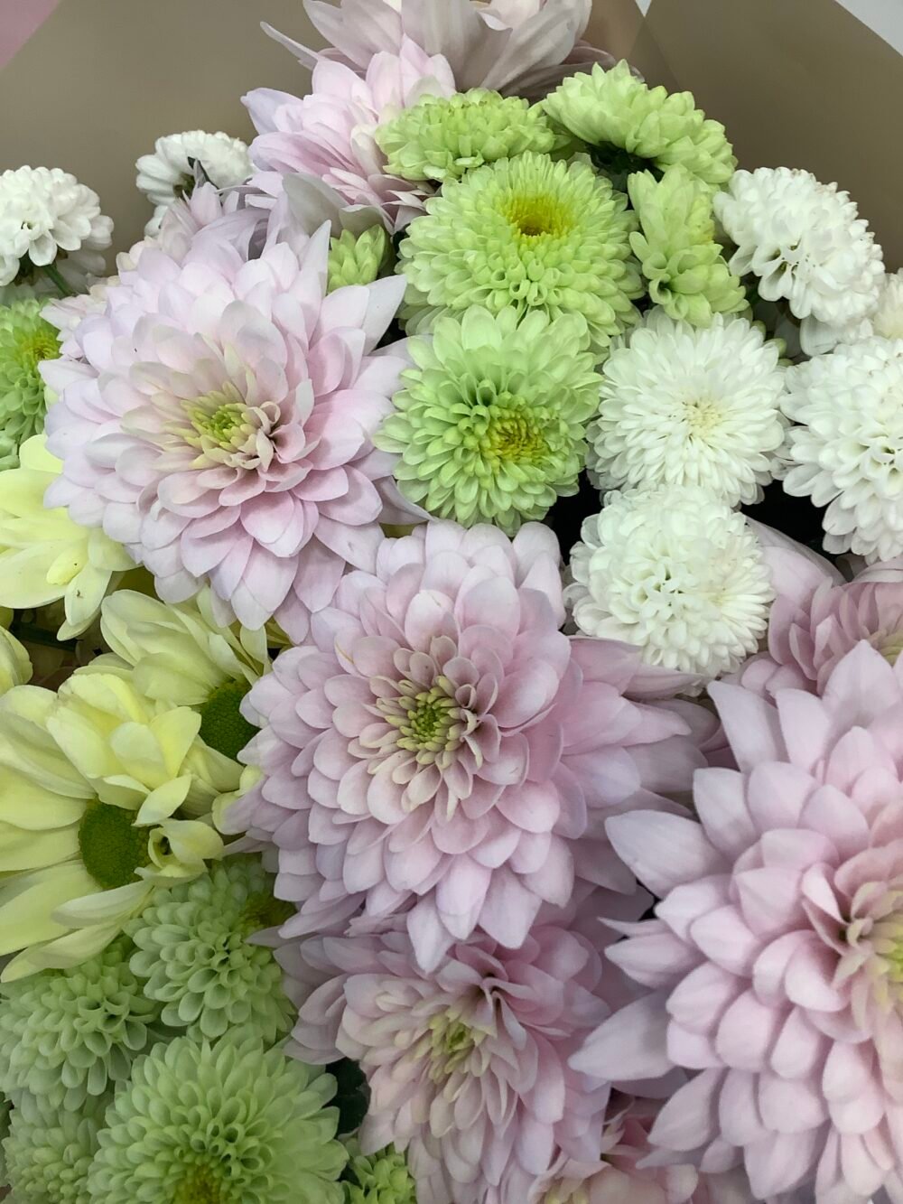 Gentle Chrysanthemum Bouquet Mix - Image 4